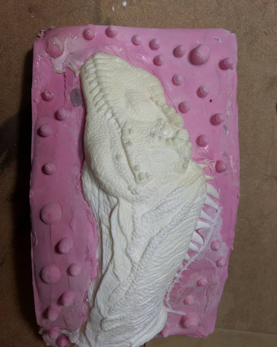 DinosaurDungeon's tweet photo. Getting my entry for WonderFest ready! It's going to be a Yangchuanosaurus scavenging a dead Shunosaurus! #dinosaurs #dinosaurdungeon #sciart #paleoart #siliconemolds #resincasting #pressurecasting #figurine #smoothcast321 #yangchuanosaurus #shunosaurus https://t.co/9UvNS33tij