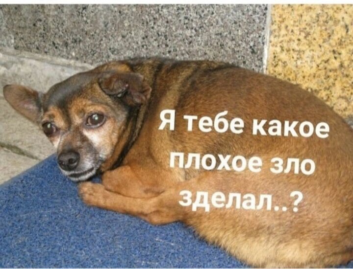 Открытка день, картинки я не хотела тебя злить