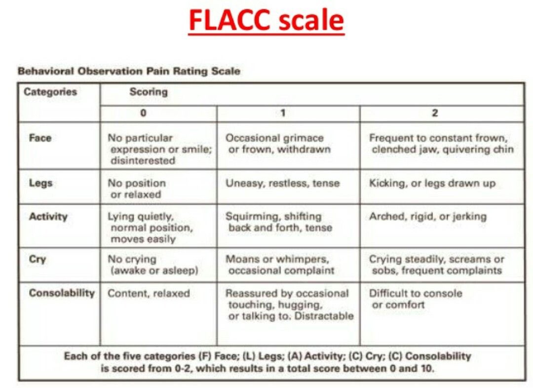 Adult Nonverbal Pain Scale