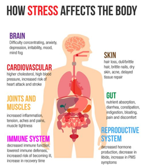 GeCoHD's tweet image. $300B/year Annual costs to employer in stress related health care &amp;amp; missed work
77% of people regularly experience symptoms caused by stress *73 % Regularly Experience psychological symptoms caused by stress *33% Feel they are living with stress