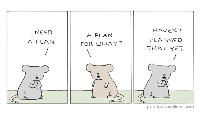 a plan 