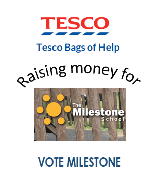 TheMilestoneSch's tweet photo. It's the Easter Holiday - perfect time support @TheMilestoneSch and #votemilestone @Tesco to help #TheFriendsofTheMilestoneSchool #sunsailproject to win the £4000 top prize in the #BagsofHelp in store vote #its4thekids #summersunshade https://t.co/TOnFWqKUrj