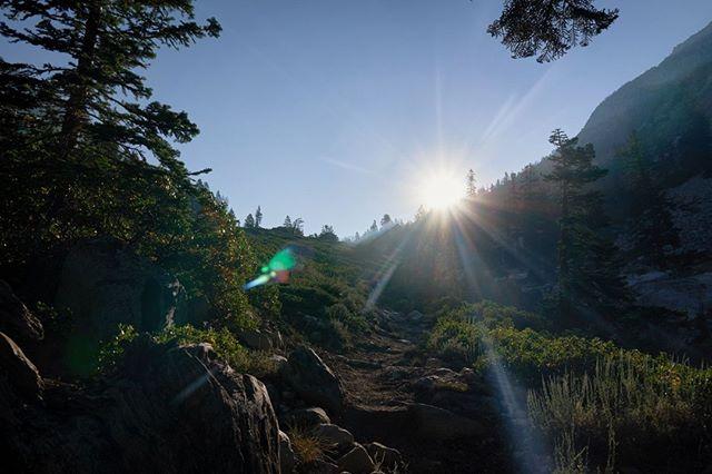 thinkaliker's tweet photo. Going up // Rae Lakes #2018⠀
//⠀
#sunrise #forest #trees #nature #hike #hiking #backpacking #kingscanyon #kingscanyonnationalpark #nationalpark #nationalparks #california #sony #sonyalpha #sonyalpha6300 #alpha6300 #a6300 #redditsonyalpha #sonyimages … https://t.co/WsUmaUkI34 https://t.co/B1HXekFB2h