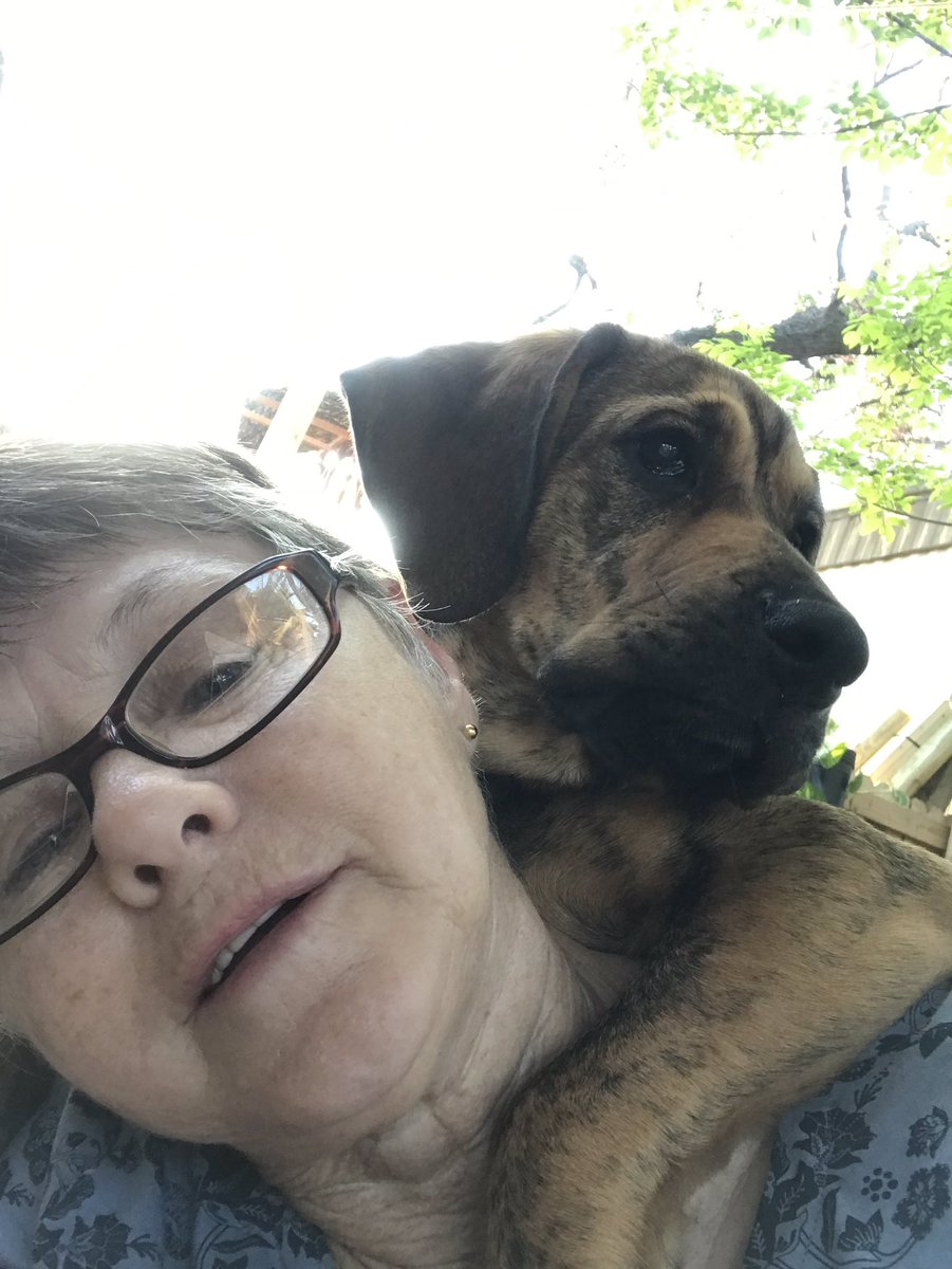 GINGER SHELLEY tweet media