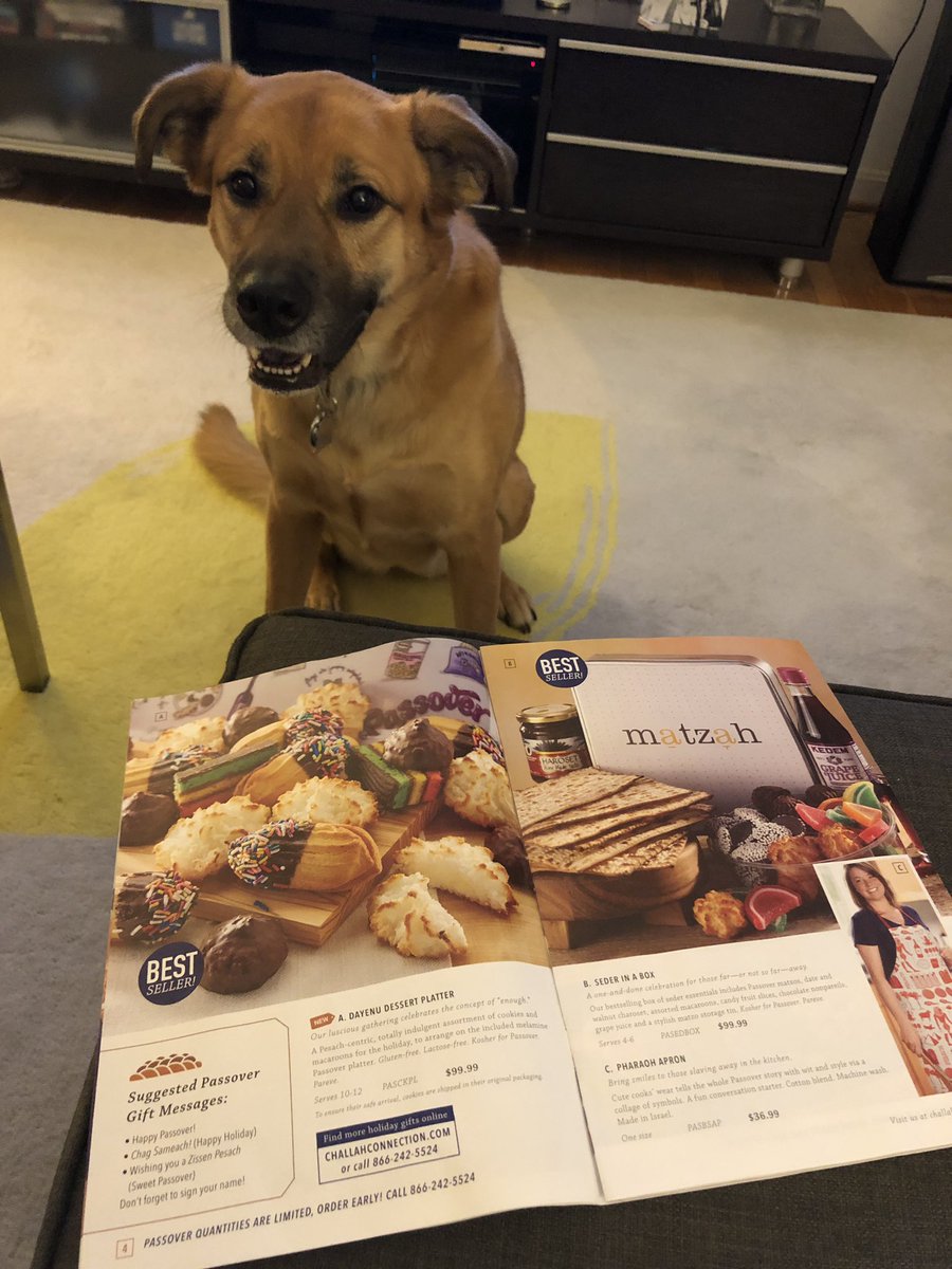 smahoffecker's tweet photo. I’ve been mistaken for all types of Asian &amp; Hispanic but this is a first lol...honored that someone thought to add me to this Jewish mail order circular from #challahconnection!! #babkalove #kosherforpassover https://t.co/IyWt0jrM2o