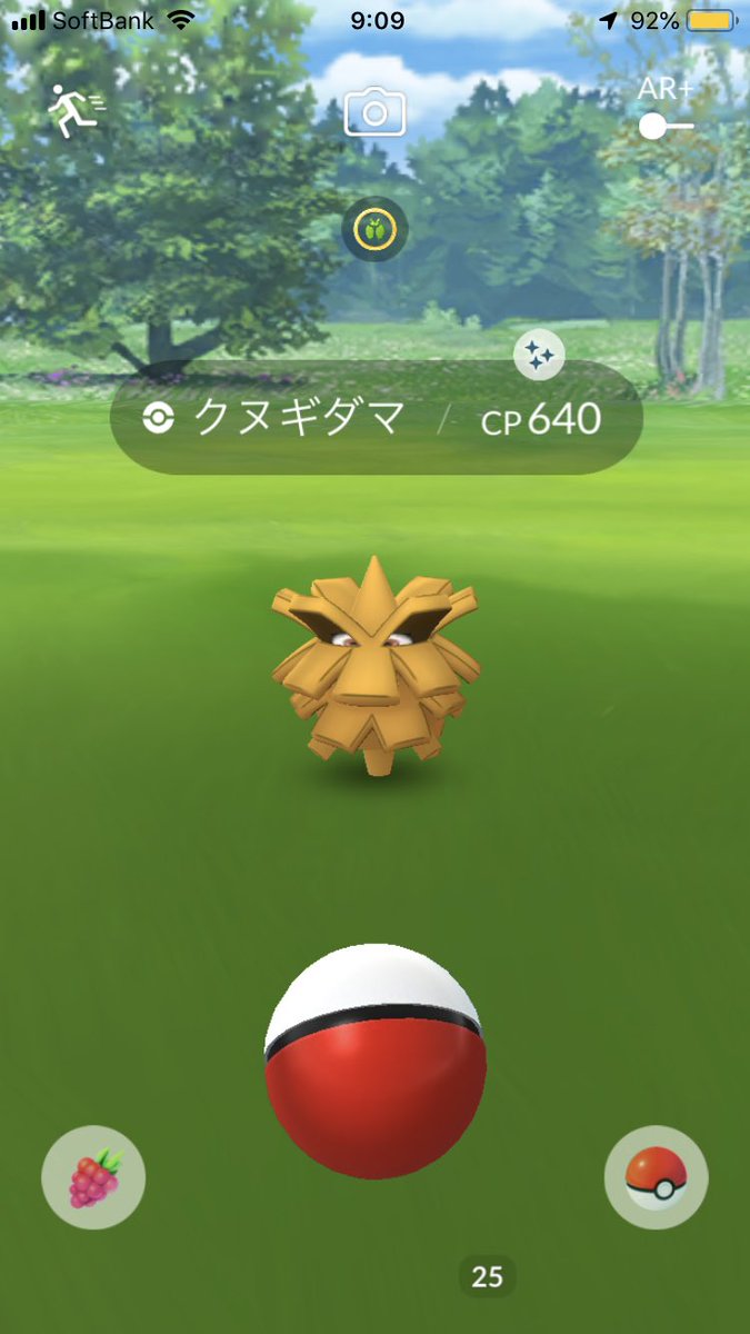 組長 Auf Twitter ポケモンgo 皆様おはようございます 自宅で色違いクヌギダマget 早速進化させました 今日は朝に美容院行って 昼からは久しぶりにデート 買い物して 桜も見れたら見たいな ポケ活もしよう ポケモンgo 色違いポケモン