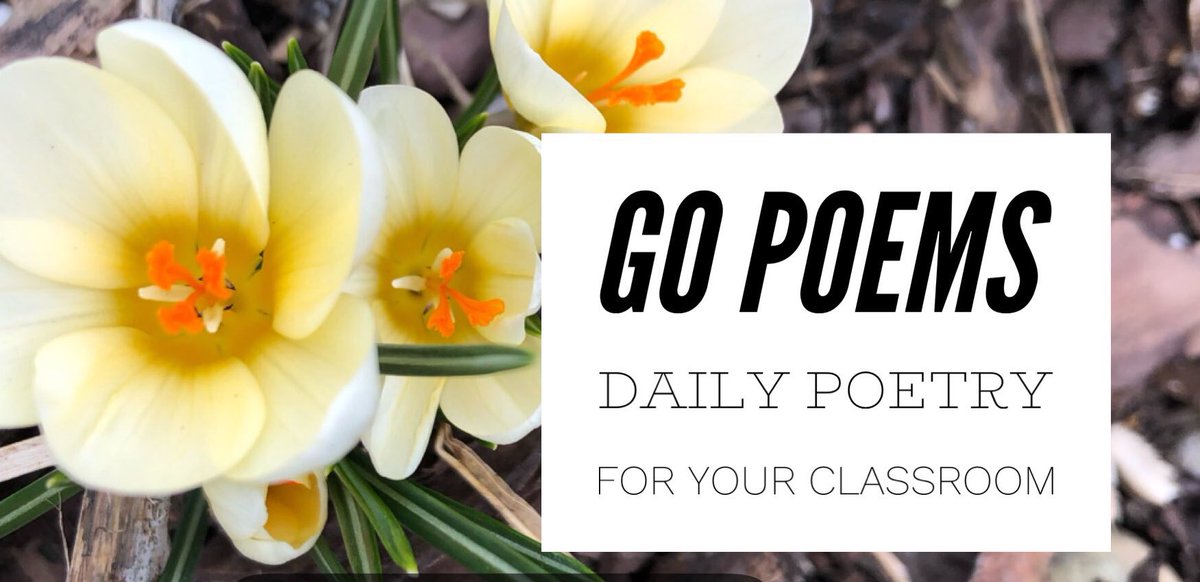 Check out 30gopoems.blogspot.com for 30 new posts every #NationalPoetryMonth by Ts around the country and from my classroom #wonderchat #NYEdchat #thinkpoetry Thanks for a great chat! So many new ideas to check out.