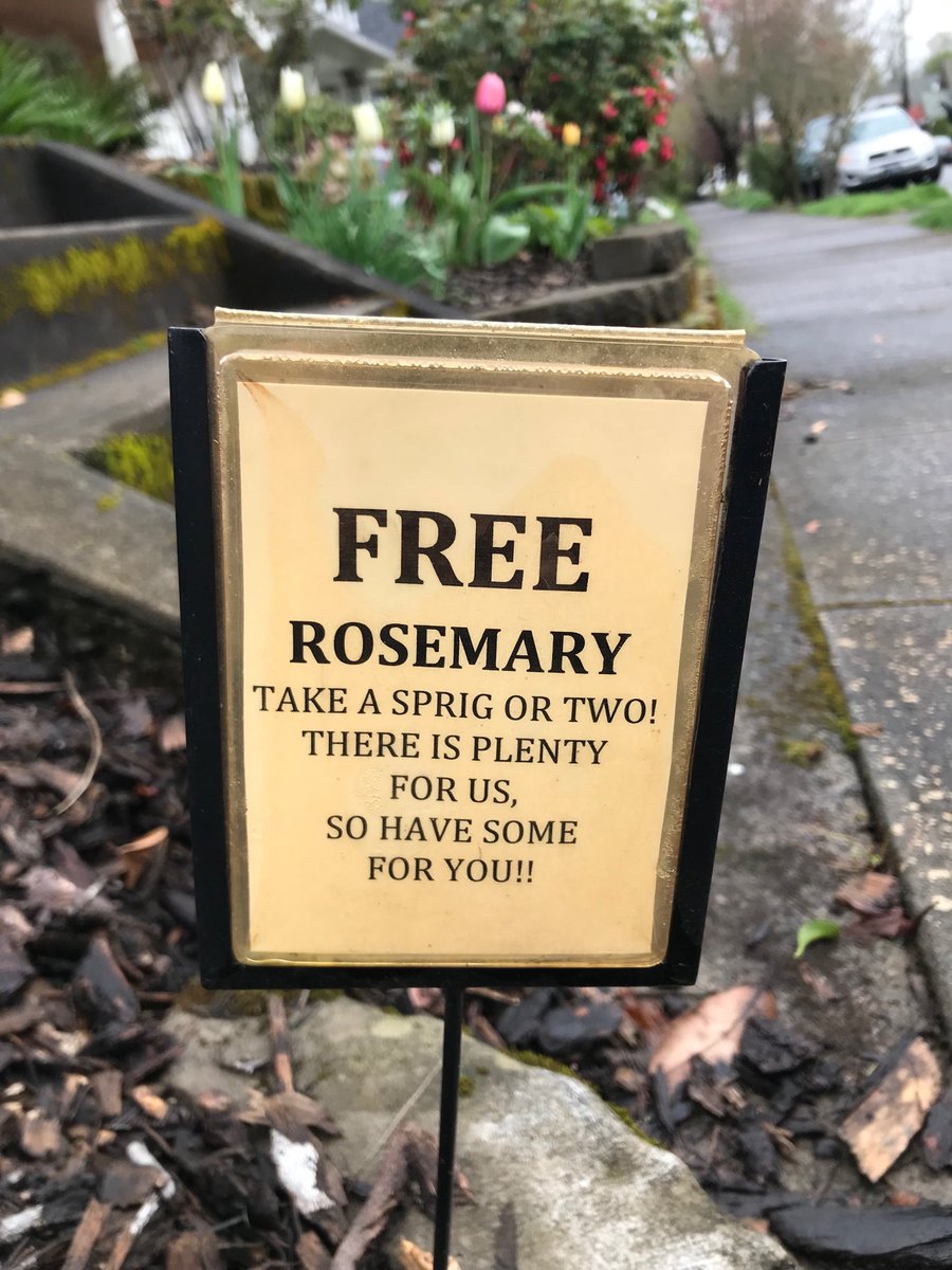 Today in Portland (@todayinportland) on Twitter photo 