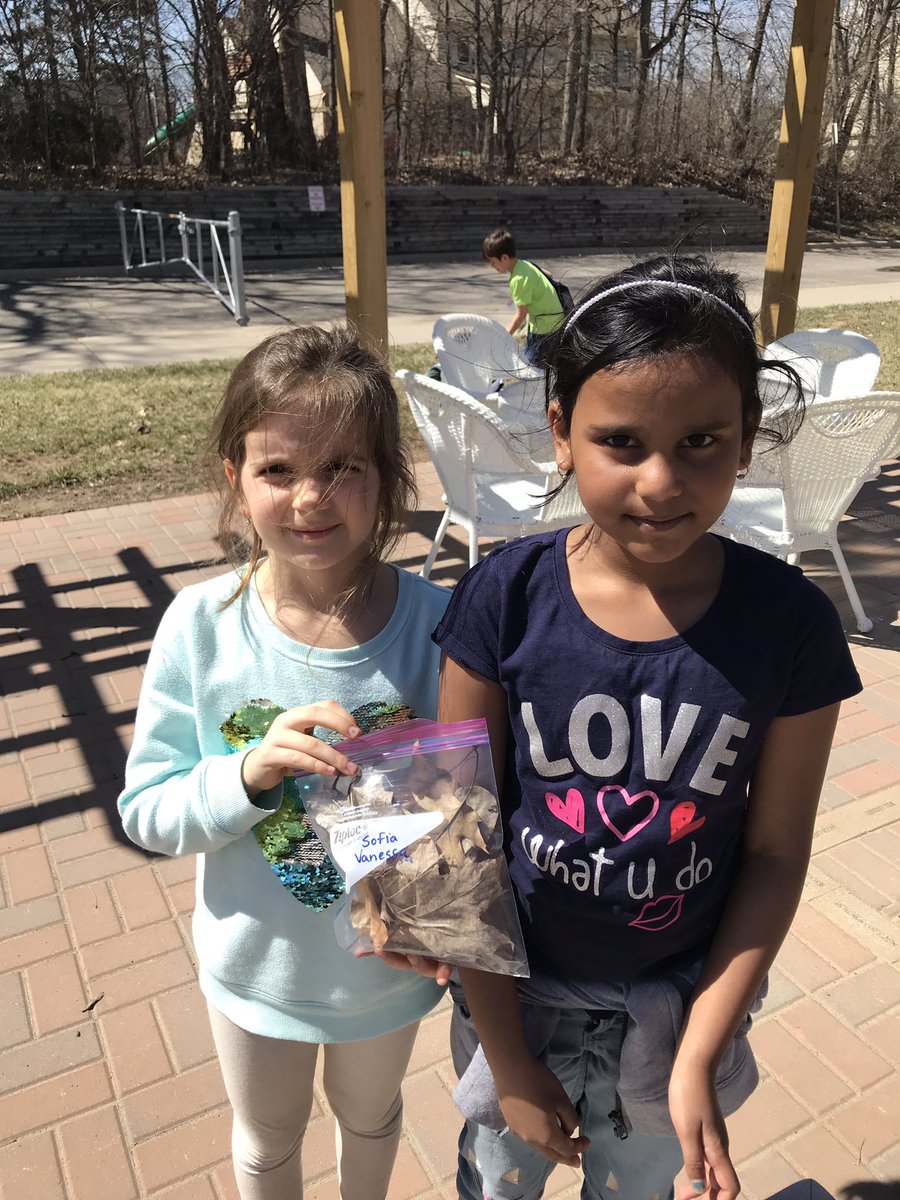 hartmus1stgrade's tweet image. Perfect spring day to observe and collect different types of plants from our outdoor learning space! 🌱 👀 ☀️ @Henry1stGrade #NoviPride #PVLeads #FOSSScience