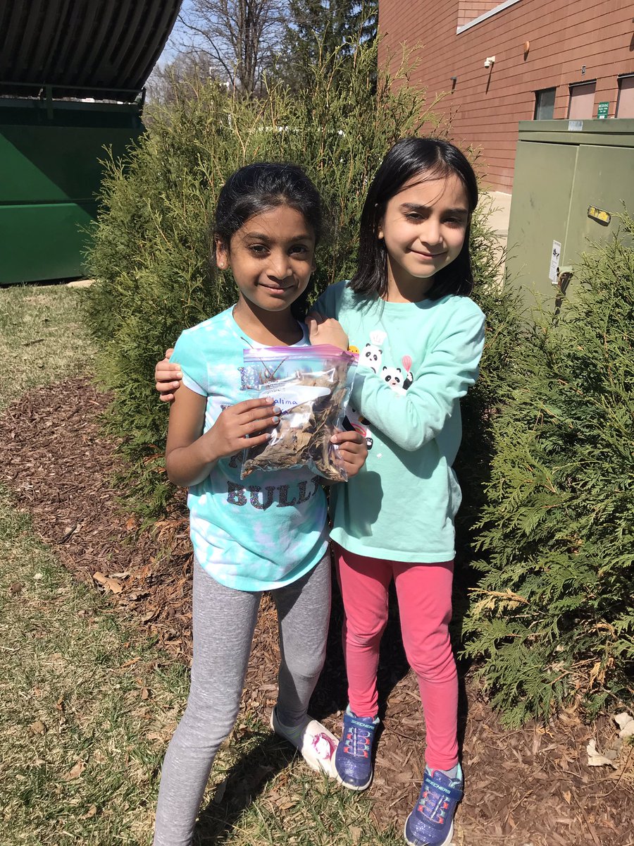 hartmus1stgrade's tweet image. Perfect spring day to observe and collect different types of plants from our outdoor learning space! 🌱 👀 ☀️ @Henry1stGrade #NoviPride #PVLeads #FOSSScience