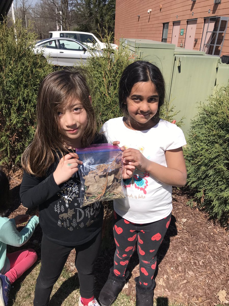 hartmus1stgrade's tweet image. Perfect spring day to observe and collect different types of plants from our outdoor learning space! 🌱 👀 ☀️ @Henry1stGrade #NoviPride #PVLeads #FOSSScience