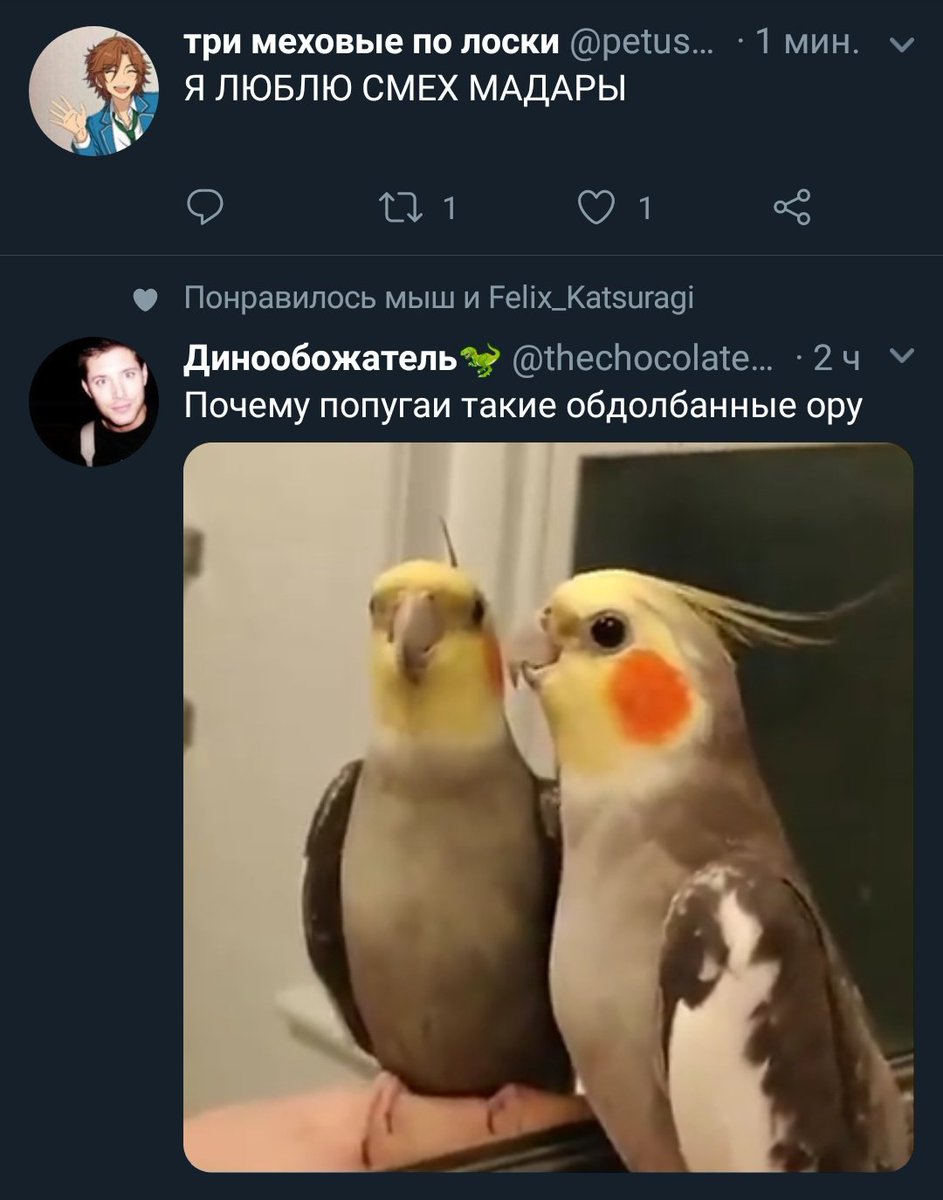 shiki_yuzaki's tweet photo. Совпадение??? https://t.co/CjIaECkSmE