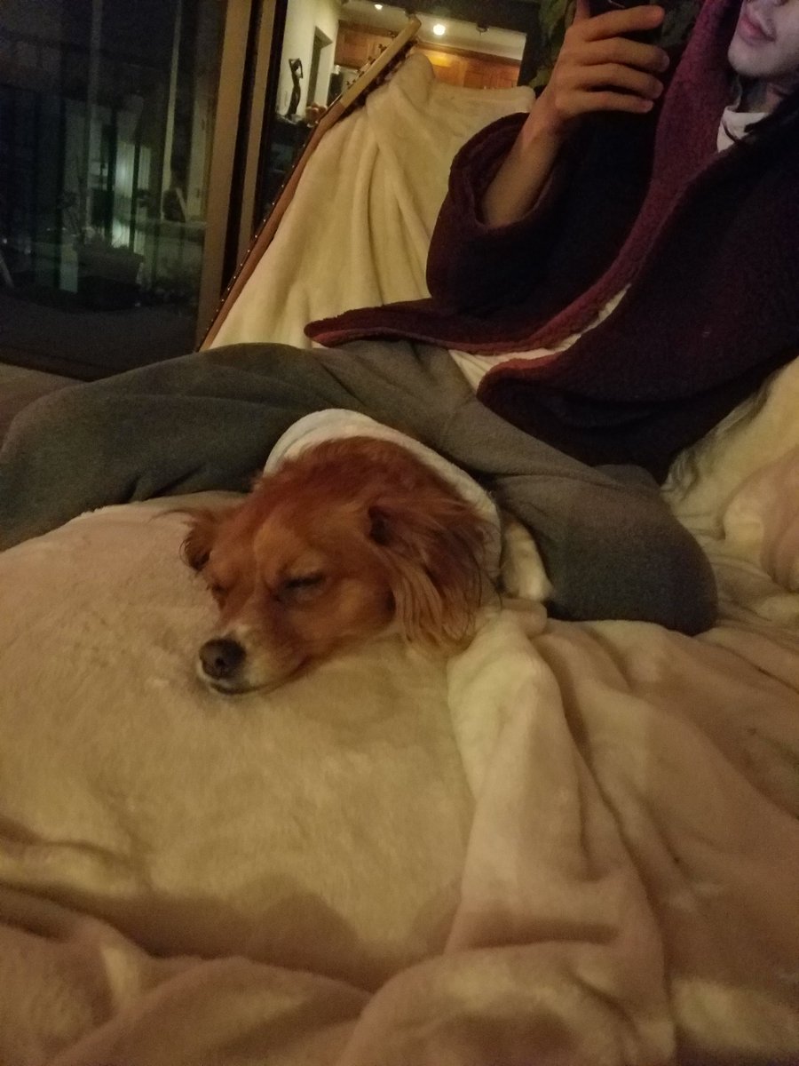marcelchu_'s tweet photo. Chuwie super streched 😃 #chubacca https://t.co/4iMREx2hEr