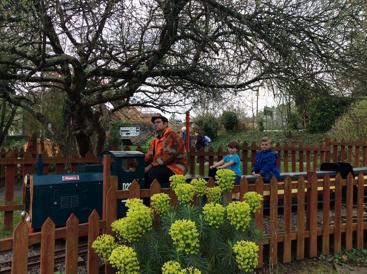 mummy_tutu's tweet photo. This always used to be my happy place and now I can get there on the bus so easily! @southdevonrly we had an amazing day. Your staff have been brilliant with the boys- Happy 50th Birthday! 2 adults 4 boys 1 wheelchair 1 puppy 6 icecreams 2 buses #ourperfect https://t.co/4jVFsQyBTh