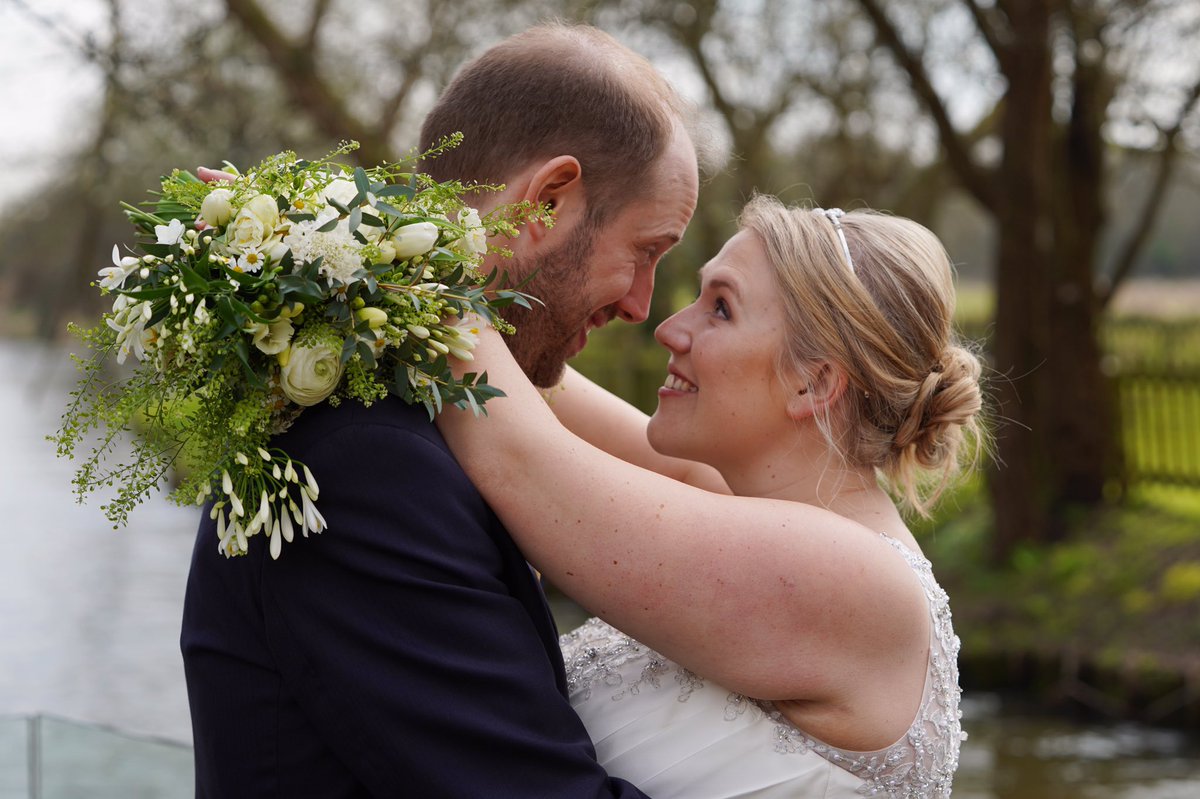 HedgehogVideo tweet media