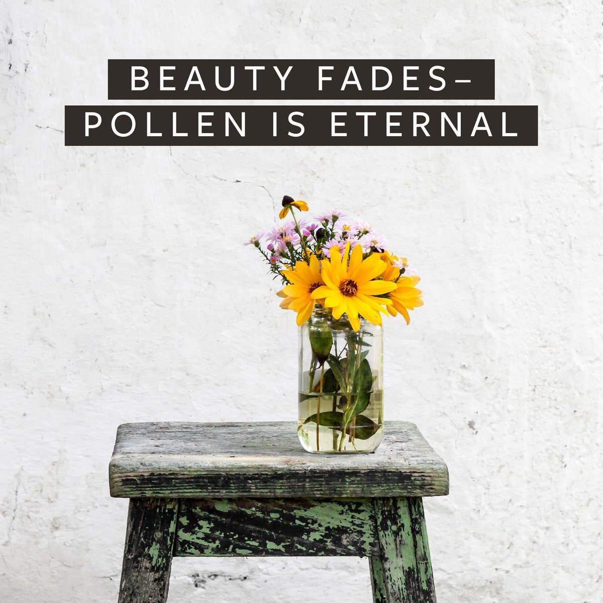 “Stop and smell the roses,” is great life advice unless you’ve got allergies. Flowers may fade but pollen doesn’t go away until it’s cleaned. BetterAir eliminates allergens from your living spaces and that’s beauty worth stopping for. 

Breathe better with #BetterAir