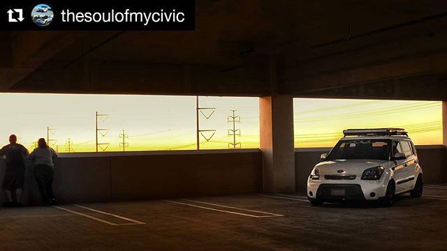 KoreanCarBlog's tweet image. #Repost @thesoulofmycivic
・・・
This picture says everything... I met this guy because of this car, I am a car girl... I love this man and he still puts up with my crap... 📸: @thisisv167 #kswappedkia #kswapped_#kiasoul #kseriesonly #honda #acura #morep… bit.ly/2UO3pql