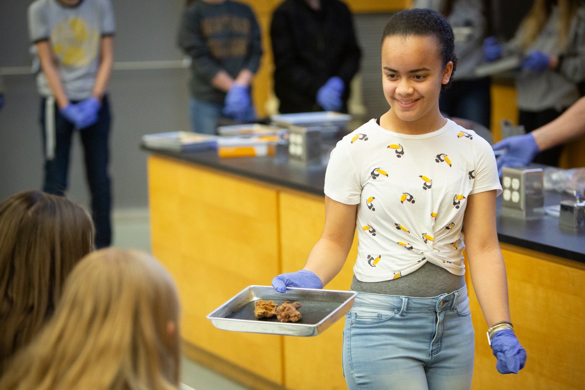 STEM student in "Really Gross Anatomy and Physiology"