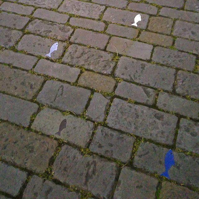 JayL_artist's tweet photo. Fish!! One is blue, it is cold #whitehaven #whitehavenharbour #harbour #fish #sea #cumbria #fishing #fiaheries #sculpture #streetart #pavement #lookattheground #shinyfish #metalart #art #artsandcraft https://t.co/tMCJa7jtqM https://t.co/OYAbFFDiIf