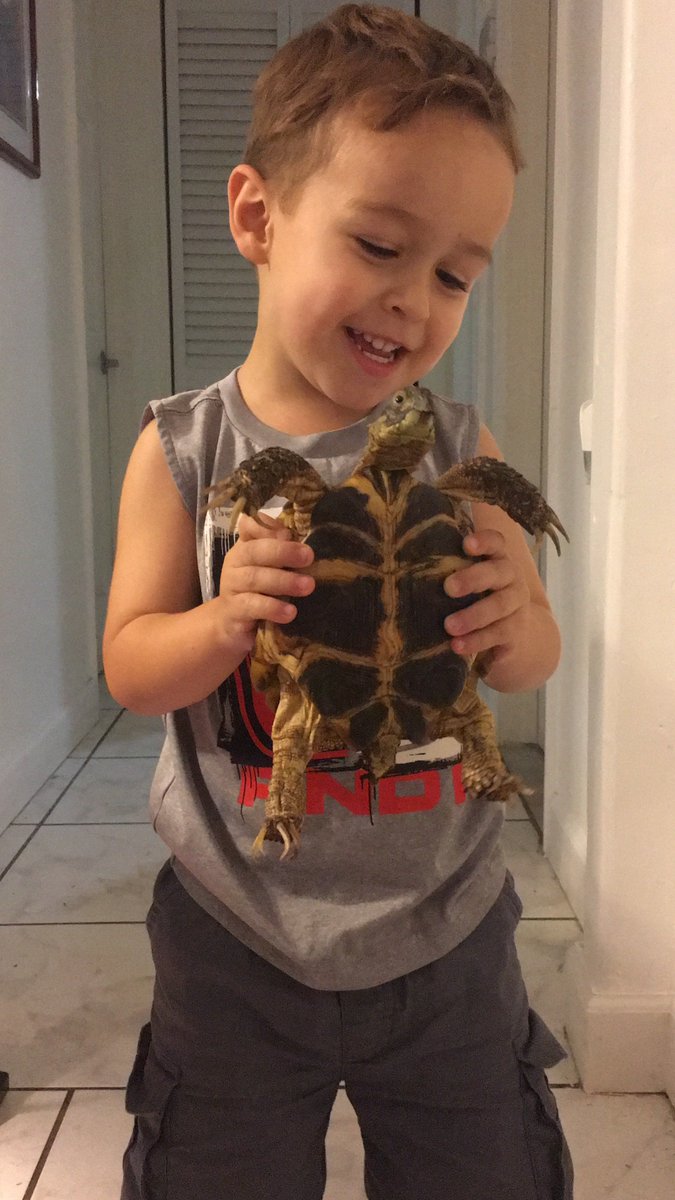 exploringwild_e's tweet photo. An old #photograph of me and my first pet, #tomate! #tortoise #pets #reptiles #nature #beauty #shells #wild #explore #animallover https://t.co/ZJLBWn4VhG