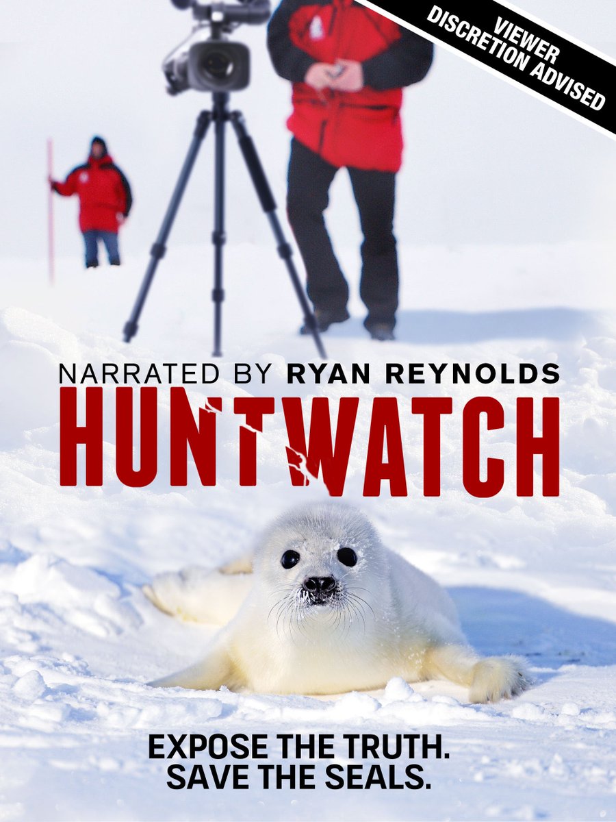 HarpSealsDotOrg's tweet photo. USA Watch the film the sealing industry does not want you to see #HUNTWATCH AVAILABLE TO DOWNLOAD NOW https://t.co/W343JS2JiZ #sealhunt #BloodFashion https://t.co/PdtVHQPyBa