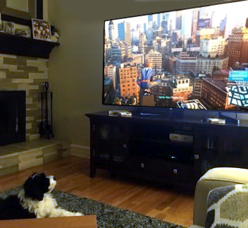 TheCaptainSauce's tweet photo. Spider-Man isn't co-op but that won't stop this lil epic gamer from constantly watching. https://t.co/toJrecsUL2