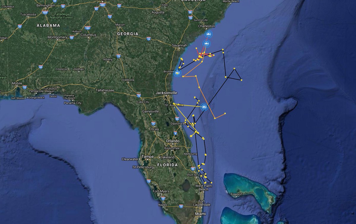 OCEARCH's tweet photo. Check out all of the tracks that have already been laid down by the four white sharks we tagged during #ExpeditionNASFA @BrunswickShark @helena_shark @SharkCaroline @MissMay_Shark https://t.co/gK3GUSyv1B