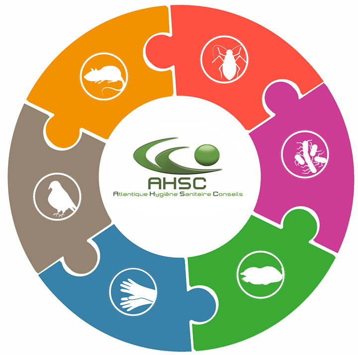 AHSC_75 tweet picture
