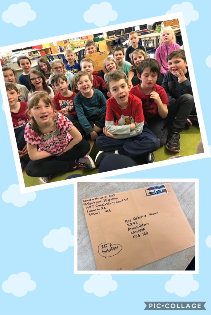 ElmaGrade2_3's tweet photo. @ElmaGrade2_3 sooooo excited to receive our Monarchs from South Carolina today.  We have been involved all year in a 'Symbolic Monarch Migration' from the Journey North website. https://t.co/tTsl7iA6GY