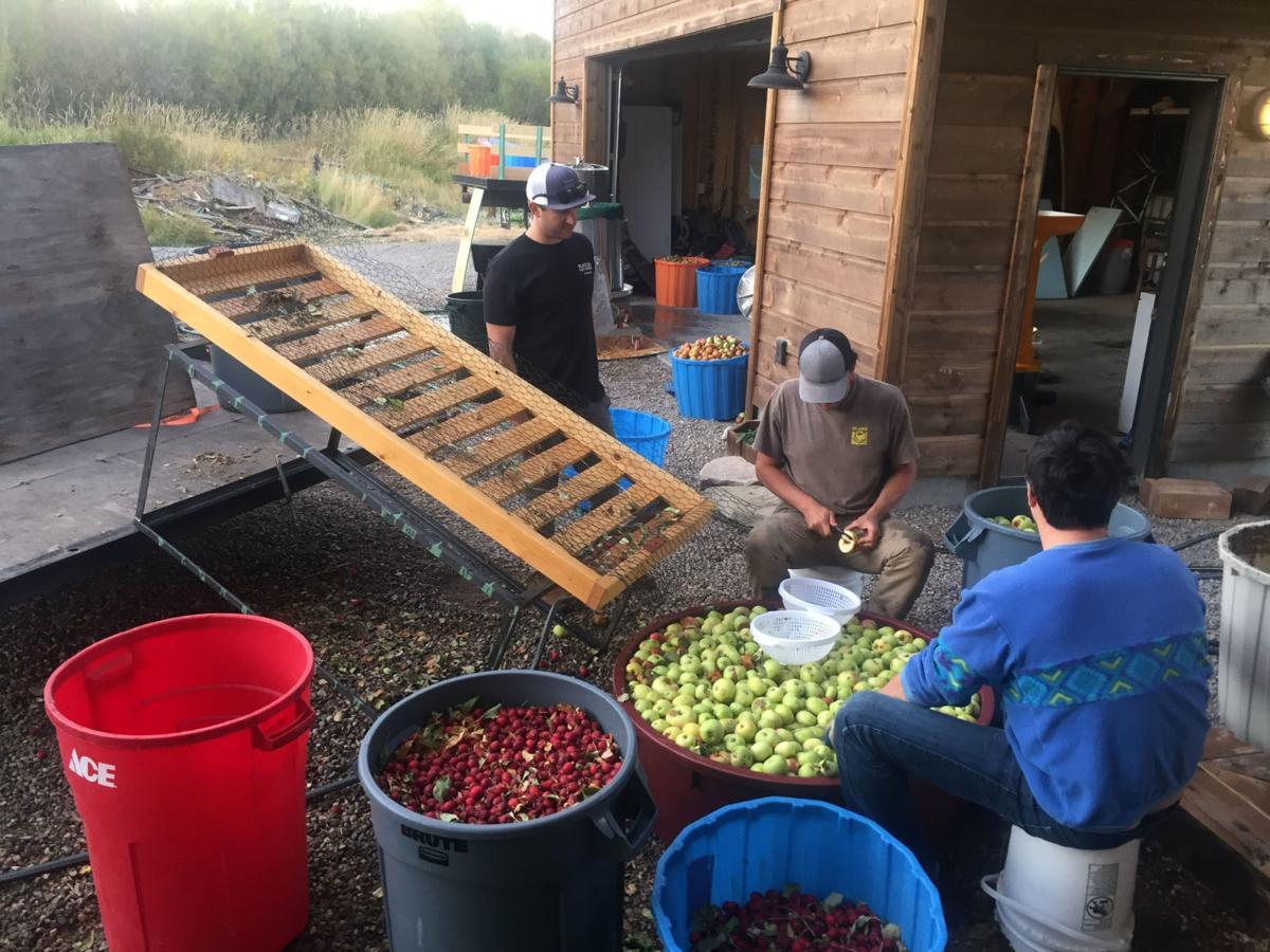GrownInWyoming's tweet photo. In Jackson, the apples are falling from the tree right into a cider drink at a farmers market or retail location near you! (via @JacksonHoleNews) https://t.co/l5M2X7qoQn

Though we might recommend not drinking 10 of them ... https://t.co/vPev2oIT0m