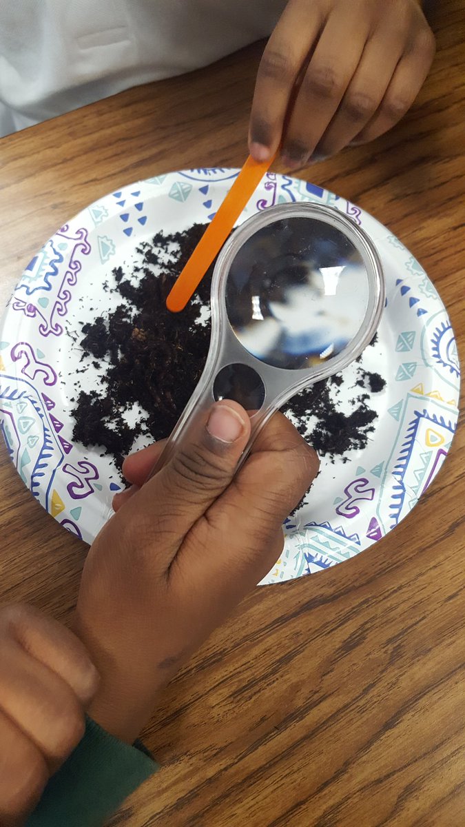 MrsHawksHeroes's tweet image. Before our worm exploration in science..."so Mrs. Hawk are the worms for real...like alive and moving ???" During reactions ranged from appaled to fascinated.