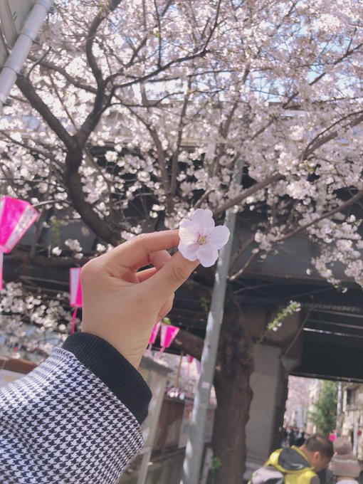 Twitterのコスプレ画像6