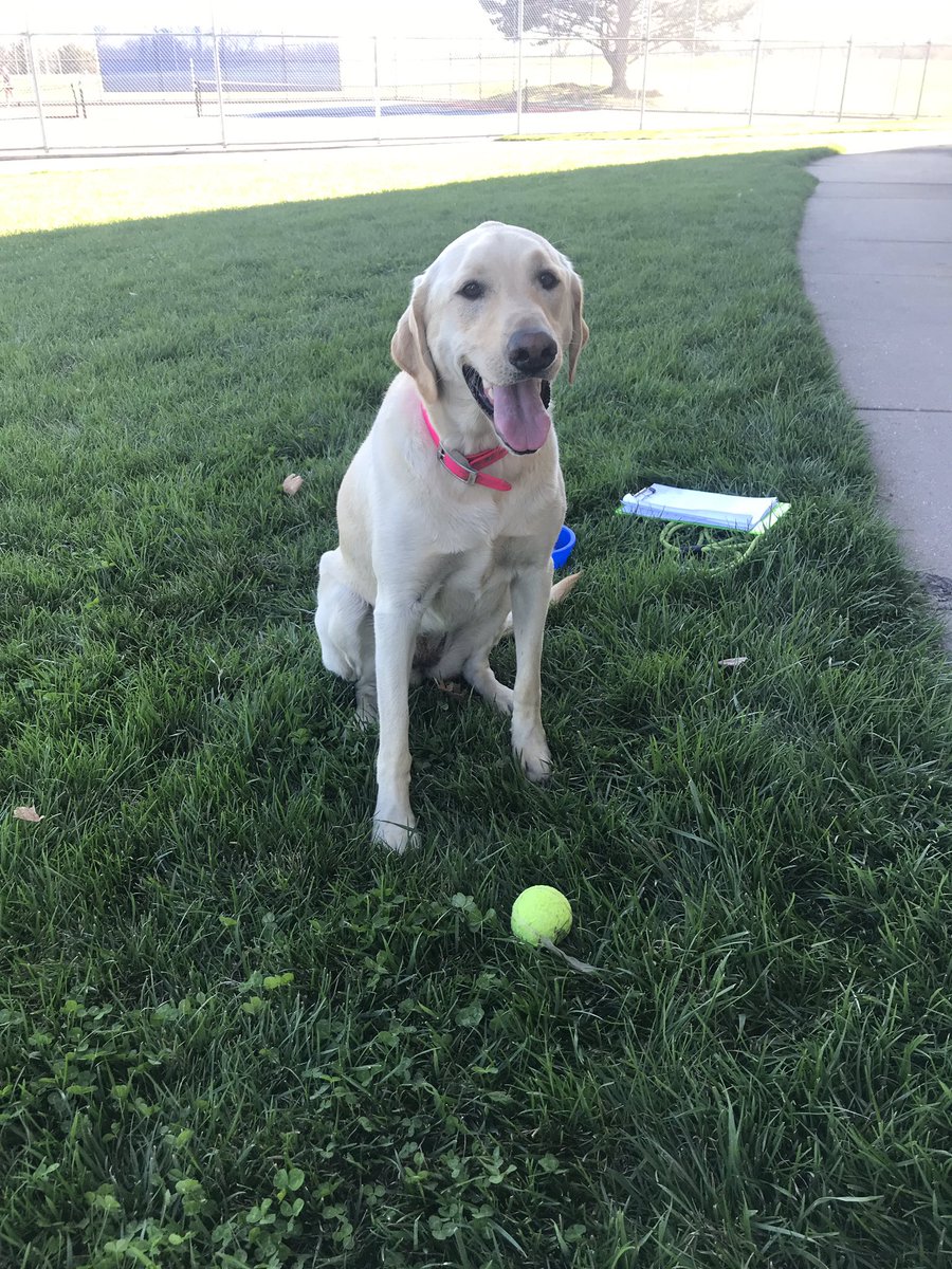 Varsity at Ralston today!
1D Anna and Elly: 8-2
2D Erin and Ansley: 8-4
3D Gracie K and Grace F: 8-1
4D Amy and Grace A: 6-0
1S Grace F: 5-8
2S Gracie: 8-3
3S Elly: 8-4
4S Anna: 8-1
5S Ansley: 8-0
6S Grace A: 8-3
7S Sunni: 6-1
8S Amy: 6-0
Maggie: 8 the ball:)