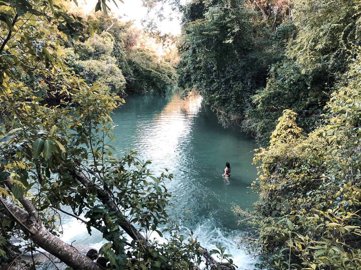 Rajel Kohan tweet media