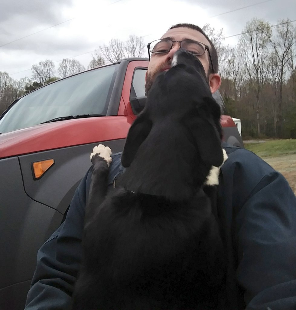 rock__lobster_'s tweet photo. Dogs are great cause you can meet a stray and they act like they've known you their whole life https://t.co/OsSDJxl24m