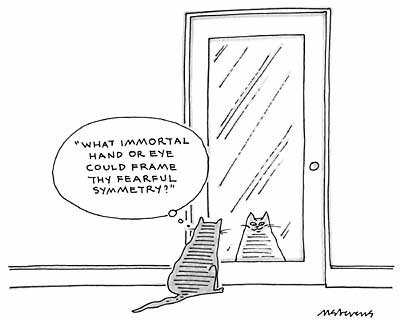 CatFoodBreath's tweet photo. For #NationalPoetryMonth, or #NatPoMo, as the cool cats say. https://t.co/Mn0g6JZbXQ