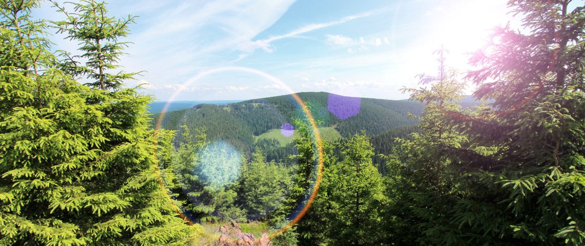 Nymphomanin Muschisaft Wald Kuessen