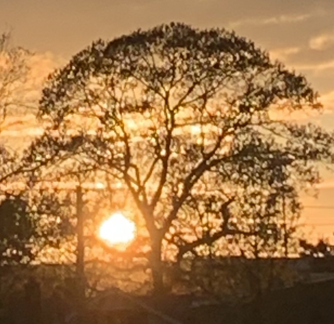 HeatherHouts's tweet photo. The closer I got, the more I understood...  Nothing is burning; No fire #sunsets #nature #Earth https://t.co/6ZAbs08oD6
