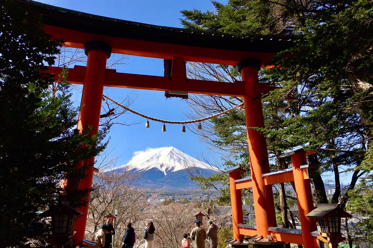 4月9日、天気が良かったので忠霊塔に。６.7部咲き、週末に満開かな。まだまだ激混みではないけど、朝から外国人の人がたくさんいた。#忠霊塔 #chureitopagoda  #富士山 #fujisan