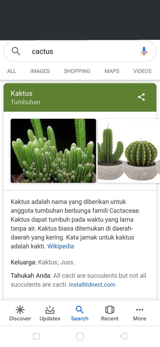 35 Ide Kata Kata Motivasi Tentang Bunga Kaktus Lucy Feng 35 Ide Kata Kata Motivasi Tentang Bunga Kaktus Lucy Feng