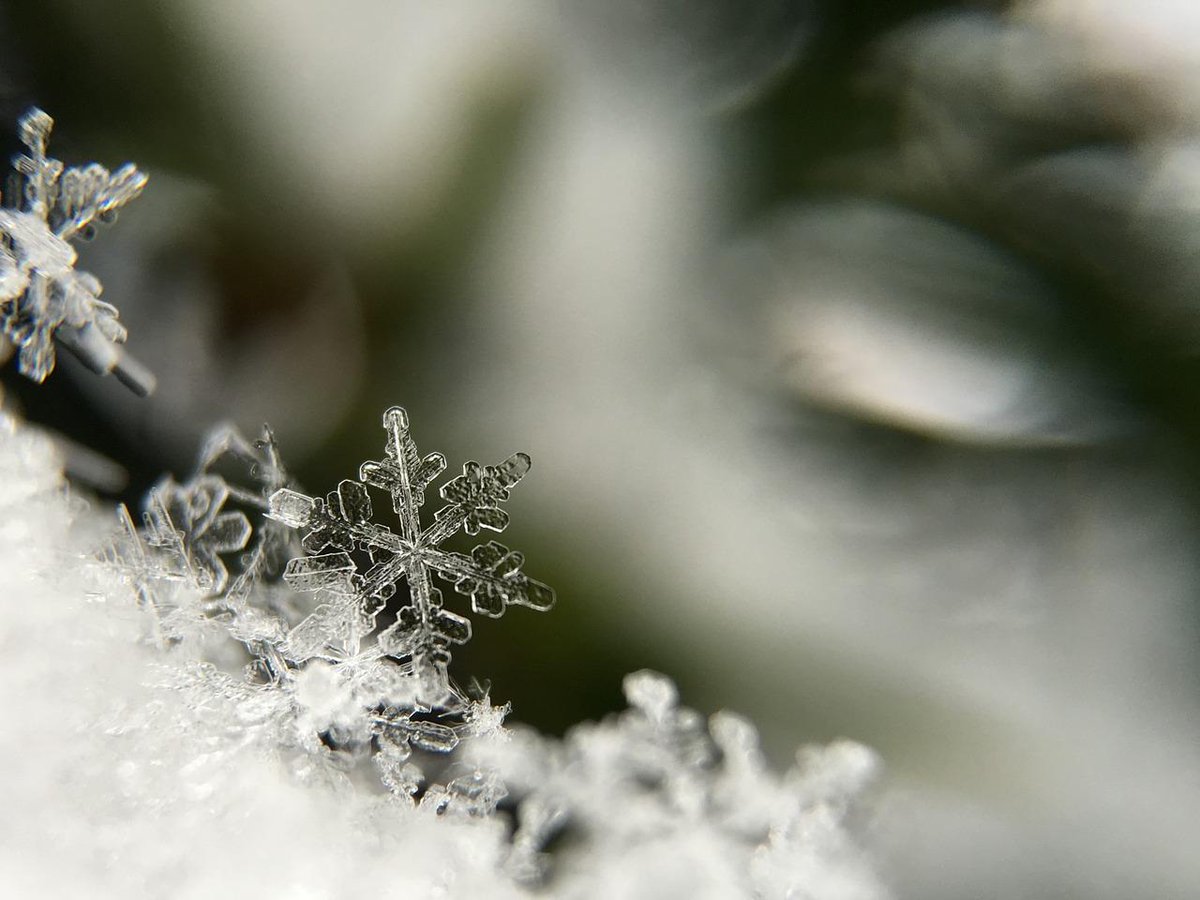 BizData_News's tweet photo. A Snowflake Data Warehouse is an incredibly powerful cloud platform for your business. Read about the surprisingly fast and easy way you can migrate all your existing data pipelines into Snowflake:

https://t.co/4k6QpT8Ya1

#Snowflake #DataWarehouse #BusinessIntelligence #Data https://t.co/hxV8R2gzhL