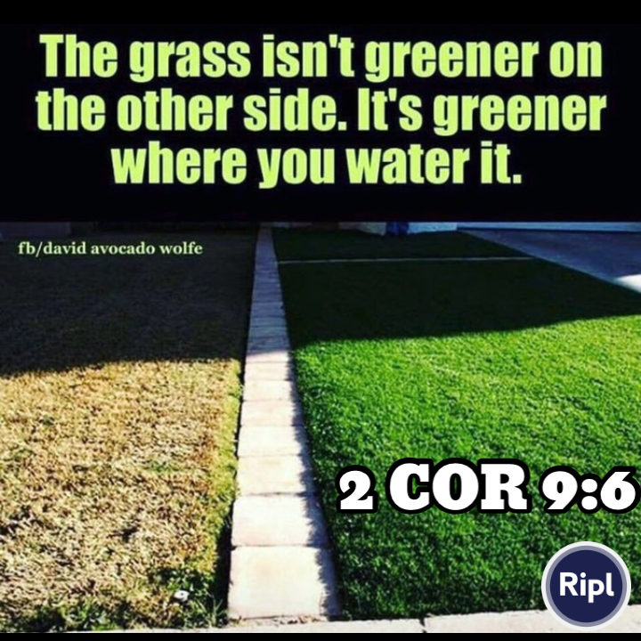 CbusNECBS's tweet photo. #StudyHisWord #Wateryourfaith #growinHim! #2Cor96   via https://t.co/GkCbIyj277 https://t.co/V2u8rrUbSw