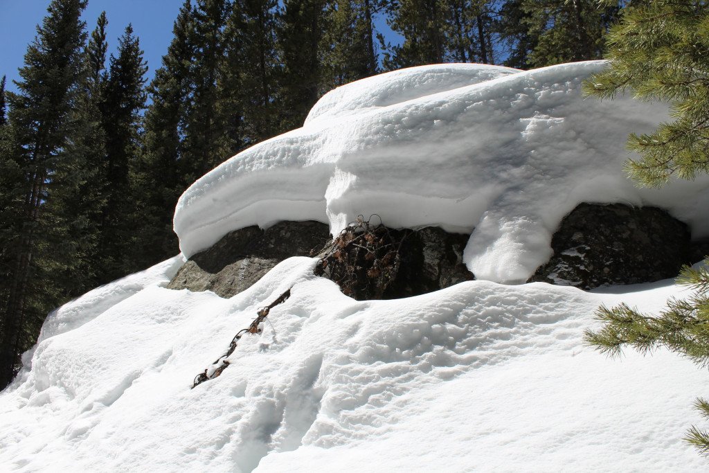 lifeabovetrees's tweet photo. Lost Lake – Indian Peaks Wilderness https://t.co/lWai7ndoRl https://t.co/WoRJDd5rZP