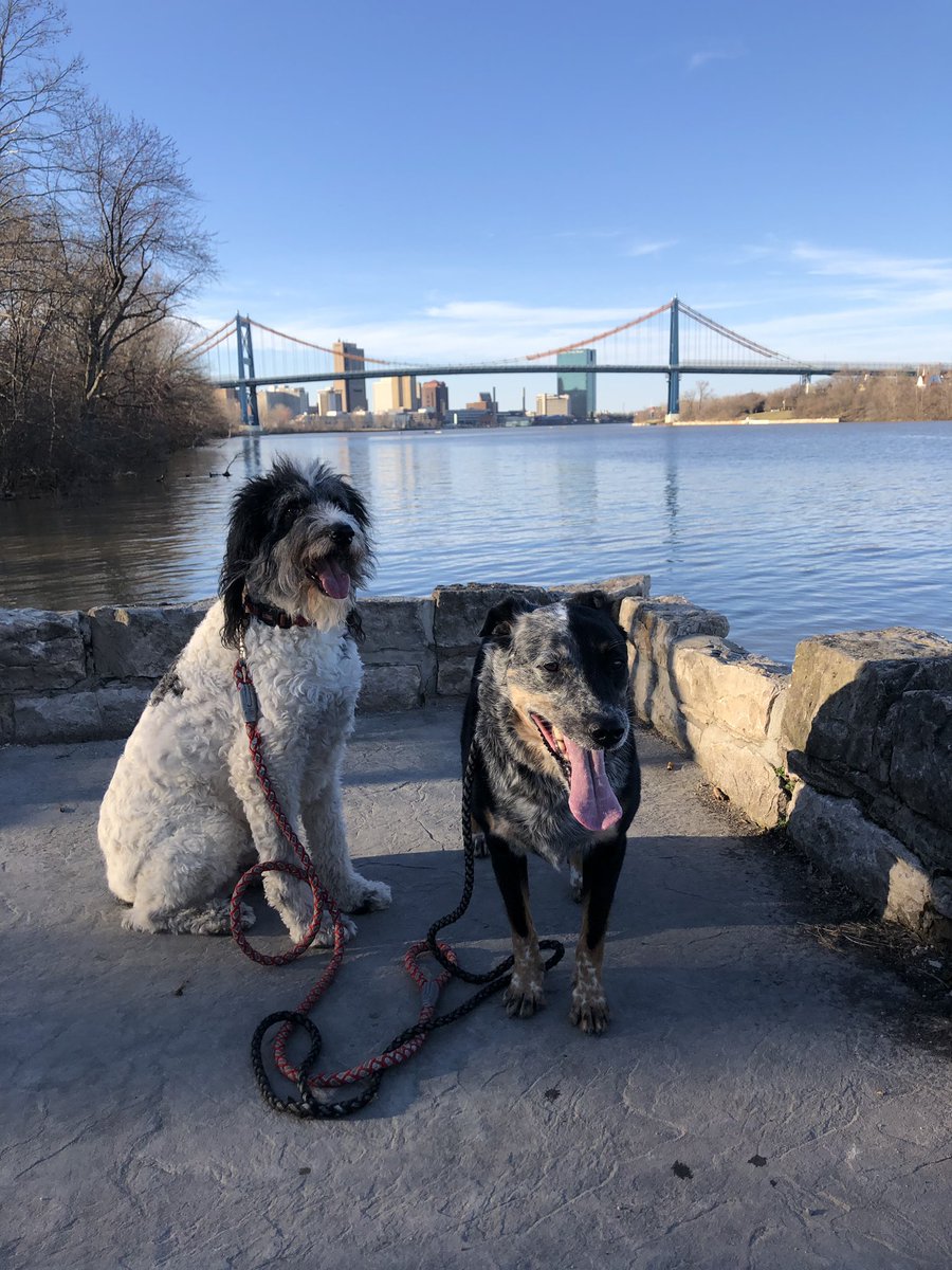 Ozzy_Giller's tweet photo. Building my cardio back up with my brother #TwitterlessSpy and @hanzgoh (Frisbee_Spy365 on @instagram ) I have to get ready to be back on stage in BCP’s production of #Annie #ItsaHardKnockLife #ThinkImGonnaLikeitthere #MyAnniesrock https://t.co/6snpB9dtD4