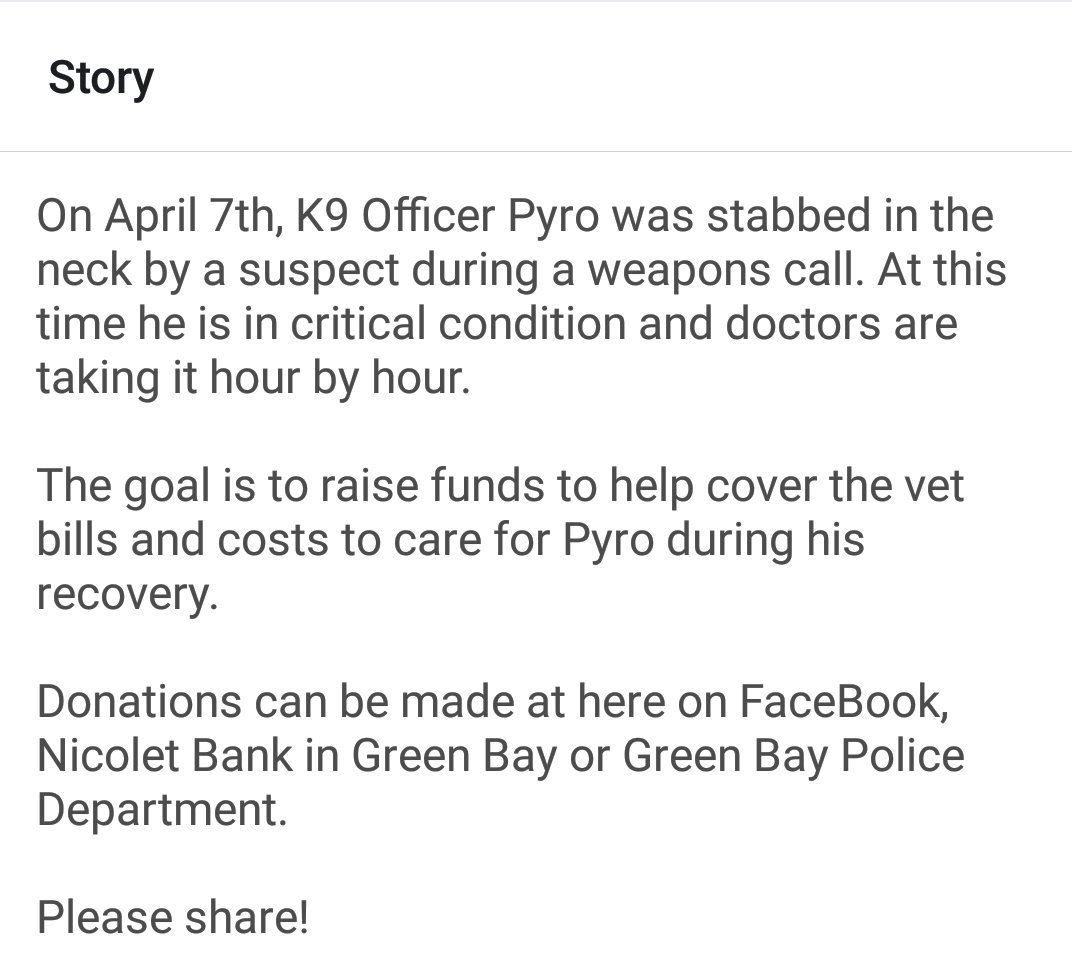 lisa_m_d_p's tweet image. #PyroStrong 

facebook.com/donate/6628661…