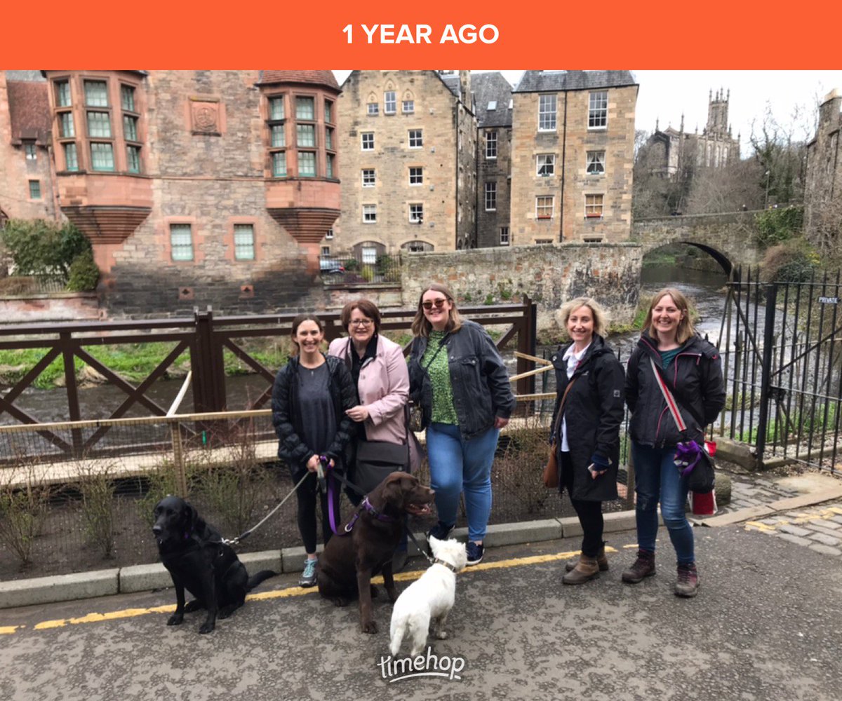 Whiskey_weim's tweet photo. One year ago #FlatWhiskey met his Scottish pals! Fab tweetup with @DexyDuck, @woof_alfie, @FiascoMac, and @von_pupβs Mum! ππ΄σ §σ ’σ ³σ £σ ΄σ Ώ https://t.co/fTFOk8RXfU