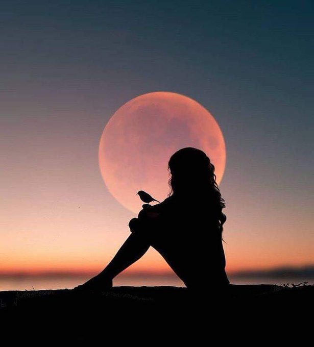 <a href="/ZEYNAZERDA/">ZEYNEB MELİSSA</a> <a href="/jaimemiserachi/">Jaime Miserachi</a> <a href="/aitken_alistair/">Alistair aitken</a> <a href="/TaposKumarBasu/">⭐✳️🇮🇳तापोस🇮🇳✳️⭐</a> <a href="/guiller25136814/">Guille 39K #Csi N Y.</a> <a href="/DeFaukatrua/">Edu live</a> <a href="/usatur/">Orlando Abarzua</a> <a href="/carmenf07722705/">carmen fernandez</a> <a href="/JezebelJezebel/">❤# Love Friends❤</a> <a href="/Adorable_Cinico/">@R_GarcíaFuerte</a> <a href="/ivymarina1/">.</a> <a href="/dmomd/">#LoveFriends</a> @CristinPereyra <a href="/MofkPm33/">صبي طبيعة الله</a> <a href="/prcowboys/">Pam Suzanne Reich</a> @SILVIADOMI222 <a href="/Silviadomi22G/">♕Lady in Red ❤</a> <a href="/IsabelPerez1232/">💦Isabel Perez 💦</a> <a href="/GillUmar/">Umar Gill</a> <a href="/joaquinluquep/">joaquin luque perez</a> <a href="/zerok_z/">Asi ♡</a> <a href="/mariafiorotto1/">🌾M F🌾</a> <a href="/kathybaker1965/">Kathy Baker</a> <a href="/KVajpayaee/">KATYAYAN VAJPAYEE</a> <a href="/Fitri34404412/">🌸Fi 🌸3🌸</a> <a href="/Katharin_Aurora/">Katharine•.✨.</a> @brendak32405 <a href="/dDwvJOCHzgSWOFb/">loooooka^^✴g</a> <a href="/yeilyurt9/">Yeşilyurt</a> <a href="/EstevezNatybell/">Natybell Estevez</a> <a href="/FRANCISCA4562/">FRANCISCA MELO LEITE</a> <a href="/RosaTrunk/">Rosa</a> <a href="/zara76541/">zara #TFZ</a> <a href="/Jilliemary/">Jillian Peeling</a> <a href="/voicara/">Neysi</a> <a href="/aLAURA2015/">ℓαυяα❤#ᵀᴹ¹ᴰᴺ#ᴹᴳᵂᵛ</a> <a href="/alejandrator2/">#AlejandraTorARTE</a> <a href="/ziziosama2gmail/">ZIZIT</a> <a href="/nami_3535/">eri えり</a> <a href="/LVK36/">MsCappuccino</a> PINK?

LITTLE BIRDS??

I'm a Streetman,
I think about 
EATING THEM.

But I don't.

Mibbe jist...

eh...

copy them ♡~*x