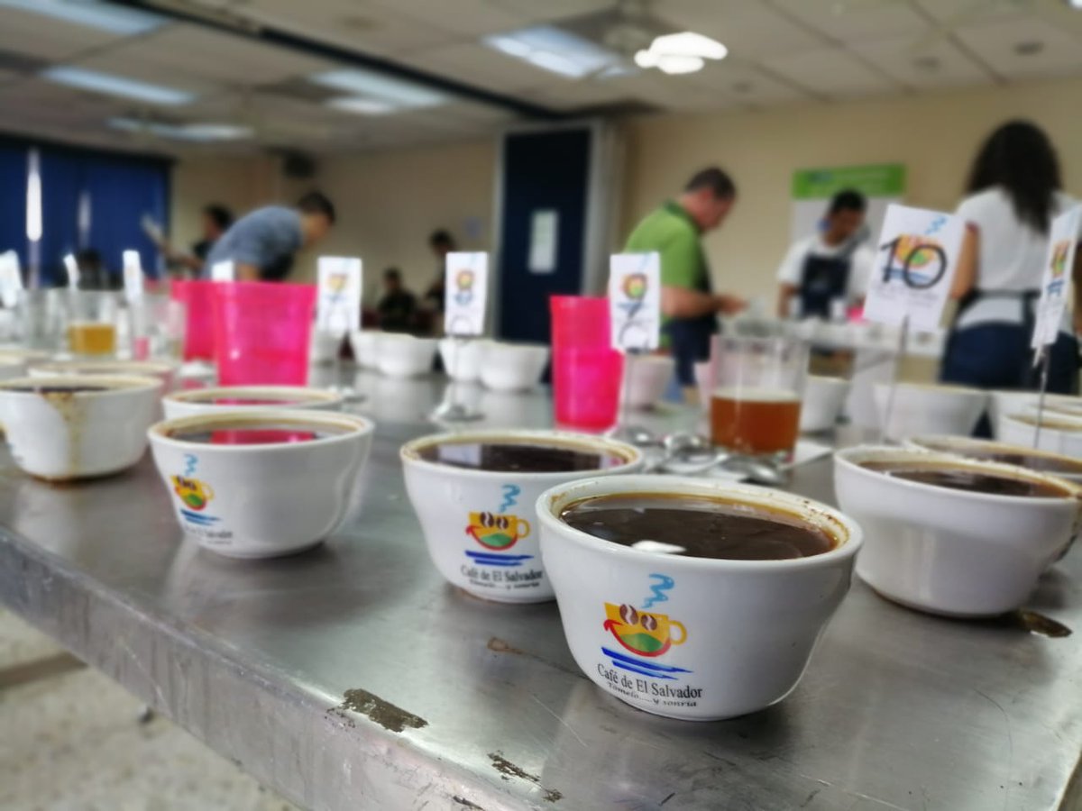 ConsejoCafeSV's tweet photo. #DirectorCSC Clasifican 34 muestras a Jurado Intrl #TazaDeExcelencia que organiza @ConsejoCafeSV La clasificación por variedad destaca al Pacamara con 76% Bourbon 12% Kenya 6% etc, por región Alotepec 47% Apaneca Ilamatepec 44% Tecapa Chinameca 9%Chalatenando dpto con mayor % https://t.co/KEMEp8M6QR