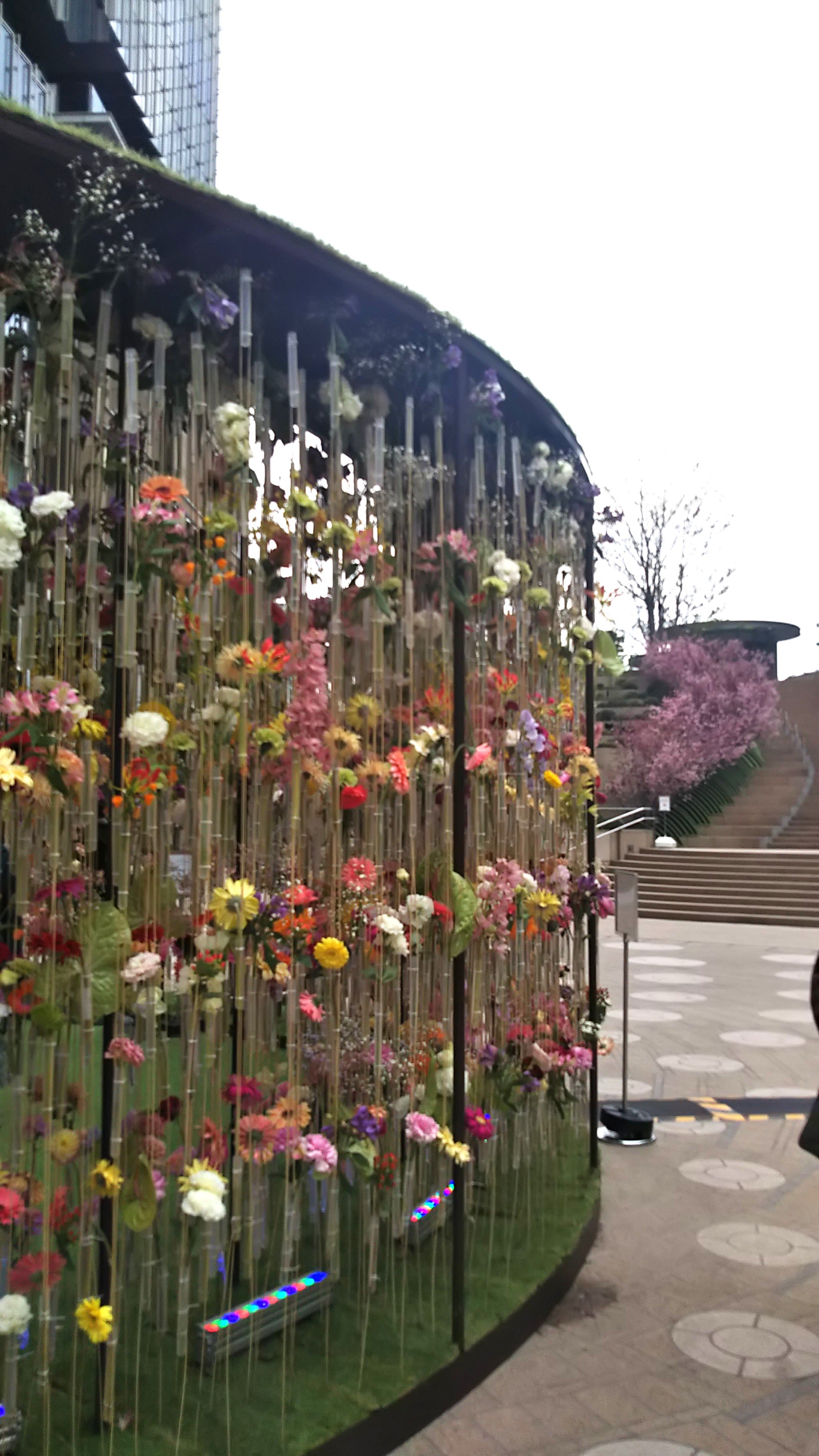 東京23区 街ラボくねっと ミッドタウン日比谷で アートなお花見 巨大なお花のドームに 棚田のような桜並木が演出され コンクリートの街全体が花々に包まれる華やかなイベントでした 野崎晶弘 ミッドタウン日比谷 フラワーアート 開業１周年 桜