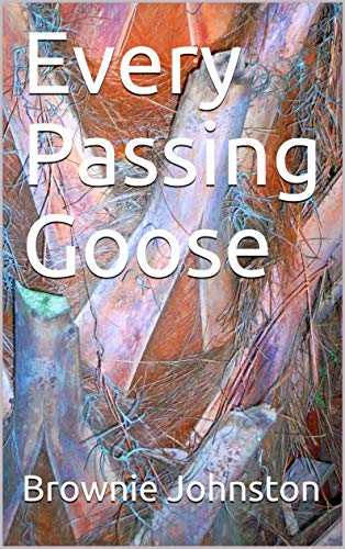 ..WW My latest novel 'Every Passing Goose' is now available at Amazon. 'Another thoughtful and rewarding story from the author of the critically-acclaimed novel 'Lust Takes Five'.' amazon.com/dp/B07BWQ6W9R